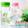 Chai My Bottle 420ml Nắp nhựa | Tùy chọn Màu Nắp
