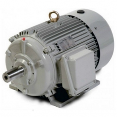 MOTOR ĐiỆN TCVN-MO3145