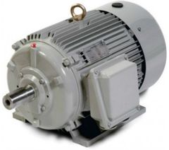 11kW Motor cho máy rửa xe Lutian 11KW