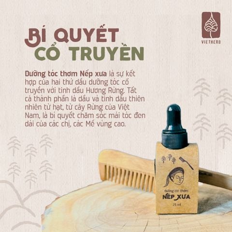  DƯỠNG TÓC THƠM NẾP XƯA 