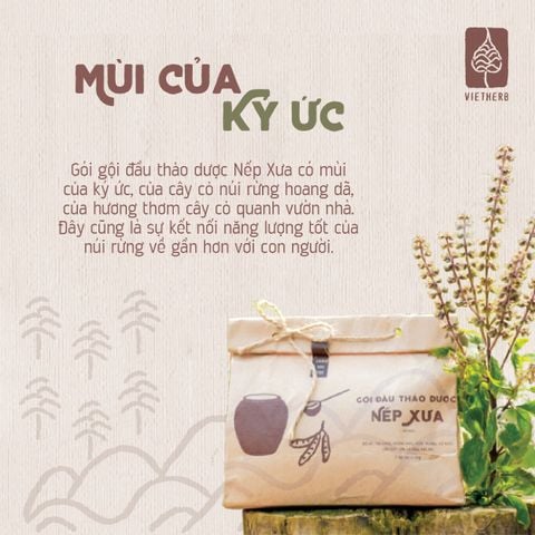  GỘI ĐẦU THẢO DƯỢC NẾP XƯA 450g (dạng tự đong) 