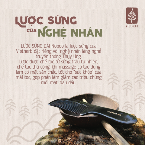  LƯỢC SỪNG DÀI 
