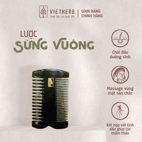  LƯỢC SỪNG VUÔNG 