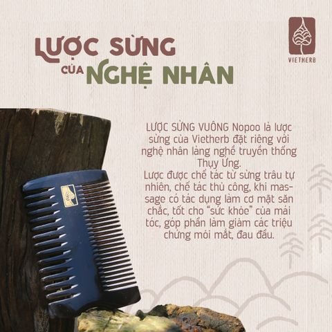  LƯỢC SỪNG VUÔNG 