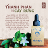 DƯỠNG MẶT ĐÊM NÉT MỘC