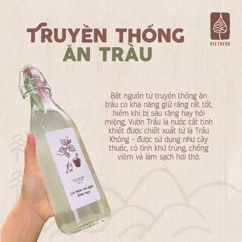  Nước súc miệng chà răng Vườn trầu 500ml 
