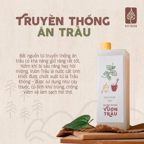  Nước Súc miệng chà răng Vườn trầu 1.3L (can nhựa 1.3L) 