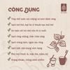 Nước Súc miệng chà răng Vườn trầu 1.3L (can nhựa 1.3L)