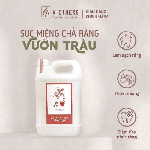  Nước Súc miệng chà răng Vườn trầu 5L (can nhựa 5L) 