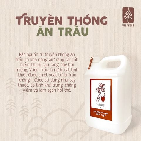  Nước Súc miệng chà răng Vườn trầu 5L (can nhựa 5L) 