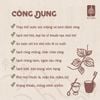 Nước Súc miệng chà răng Vườn trầu 5L (can nhựa 5L)