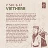 Rượu hạt cau