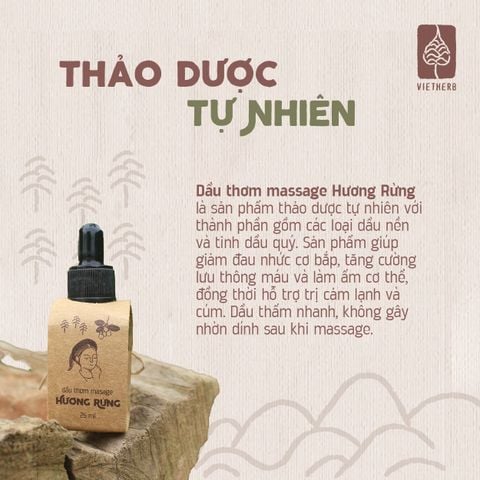  HƯƠNG RỪNG - DẦU THƠM MASSAGE 25ML 
