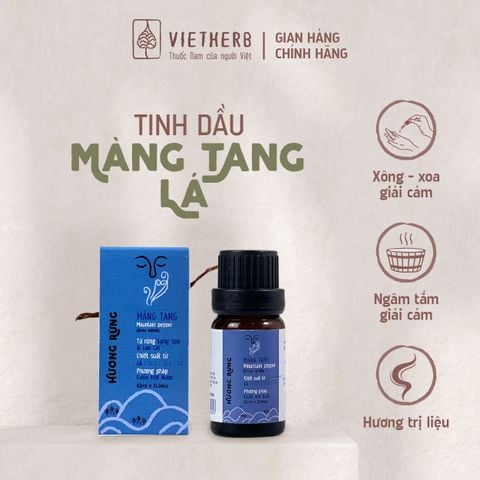  HƯƠNG RỪNG - TINH DẦU (LÁ) MÀNG TANG 