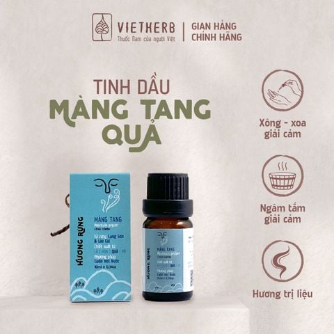  HƯƠNG RỪNG - TINH DẦU (QUẢ) MÀNG TANG 