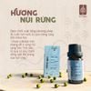 HƯƠNG RỪNG - TINH DẦU (QUẢ) MÀNG TANG