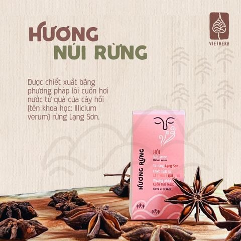  HƯƠNG RỪNG - TINH DẦU HỒI 
