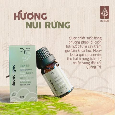  HƯƠNG RỪNG - TINH DẦU TRÀM GIÓ 