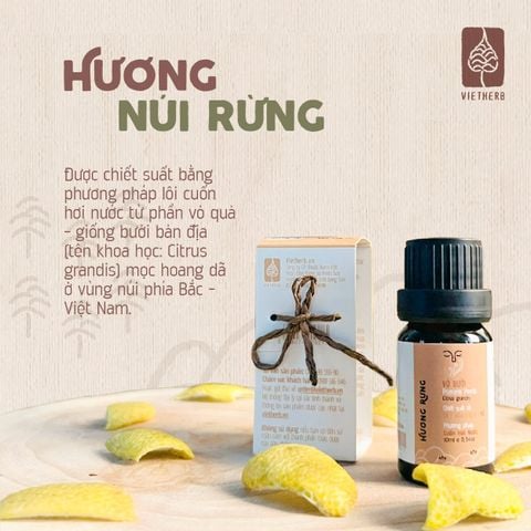  HƯƠNG RỪNG - TINH DẦU VỎ BƯỞI 