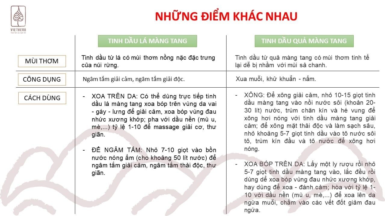 HƯƠNG RỪNG - TINH DẦU (QUẢ) MÀNG TANG
