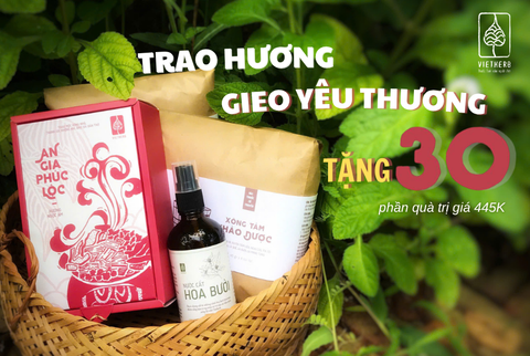 Combo: TRAO HƯƠNG - GIEO YÊU THƯƠNG 