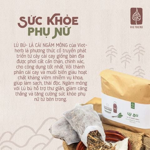  LÚ BÚ - LÁ CẢI NGÂM MÔNG 