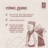 LÁ TẮM SẢN PHỤ