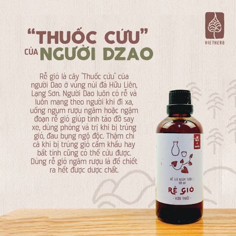  RƯỢU THUỐC RỄ GIÓ 