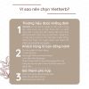 XÔNG TẮM TẤT NIÊN