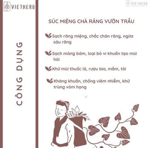  Nước súc miệng chà răng Vườn trầu 300ml 