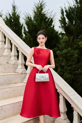 Đầm SN dáng xòe