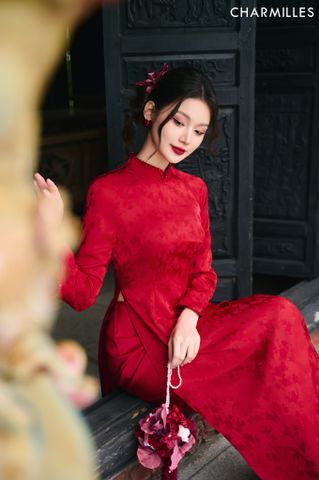 Hồng Uyên, Hà Y (Quần áo dài)