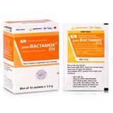 Bactamox 375mg (12 gói) Imexpharm