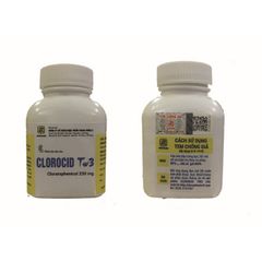 Clorocid 250mg / Lọ