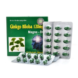 Ginko 120mg Thanh Hằng (Hộp)