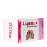 Thuốc điều trị viêm phế quản cấp Anpemux 250mg (6 vỉ x 10 viên/hộp)