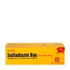 Kem chữa bỏng Sulfadiazin Bạc 1% (20g)