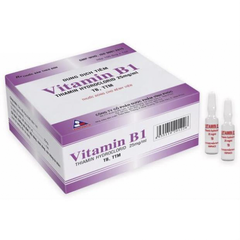 Vitamin B1 25mg Vinphaco - Dung Dịch Tiêm Cung Cấp Vitamin B1