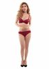Ban Si Do Lot, Áo Ngực Mút Mỏng Hot Nhất Hiện Nay E177-134- Thương Hiệu 12h