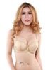Đồ Lót Nữ Xem Tất Cả, Áo Ngực Mút Dày Có Gọng E125-66-Thương Hiệu 12h