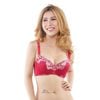 Trang Phuc Lot Nu, Áo Ngực Có Gọng Mút Mỏng E042- 100- Thương Hiệu  12h