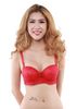 Bán Đồ Lót Nữ, Áo Ngực Mút Dày Có Gọng E125-59-Thương Hiệu 12h