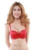 Shop Đồ Lót Nữ Hà Nội, Áo Ngực Mút Dày Có Gọng E125-62-Thương Hiệu 12h