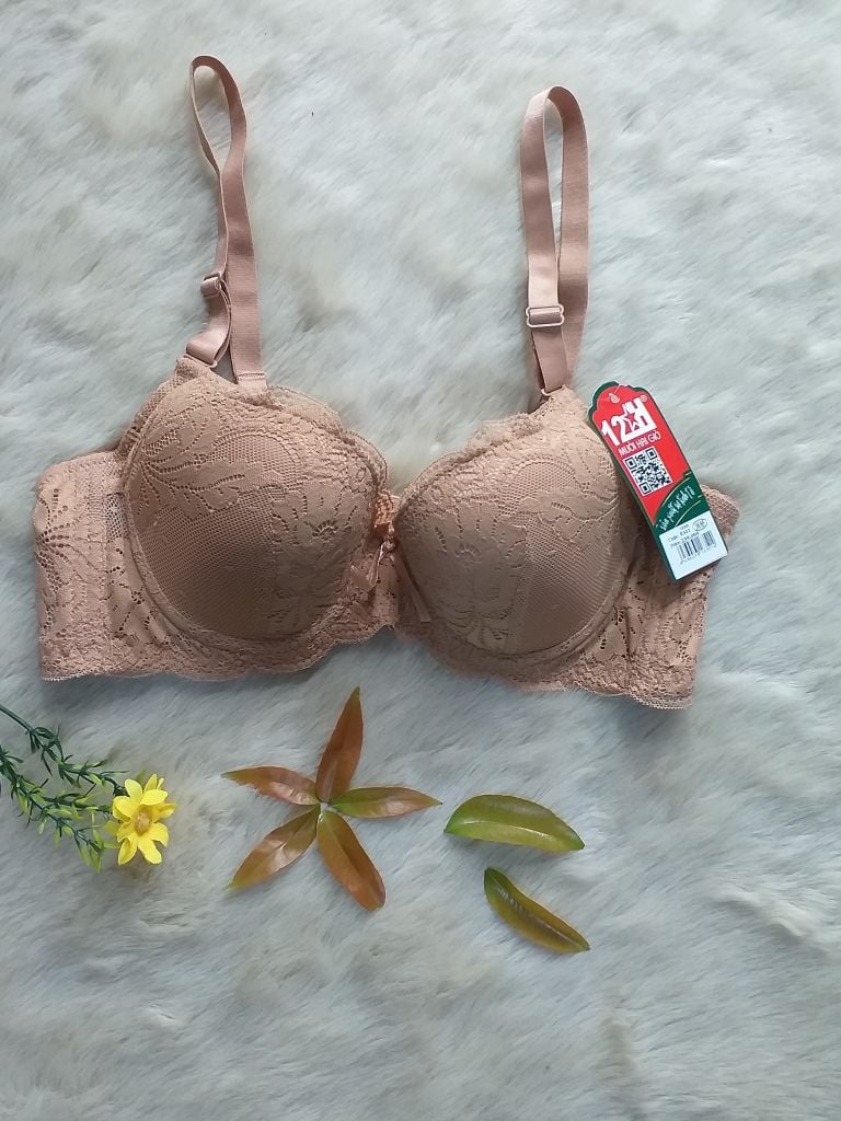 Nội Y Cao Cấp, Áo Lót Ren Cao Cấp Có Gọng E411-1- Thương Hiệu Đồ Lót 12h