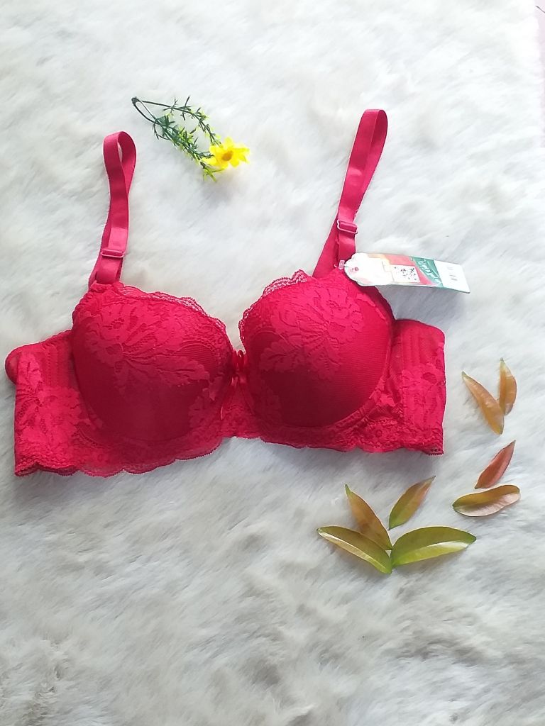 Bán Sỉ Đồ Lót Xuất Khẩu Tphcm, Áo Lót Ren Cao Cấp Có Gọng E411-8- Thương Hiệu Đồ Lót 12h