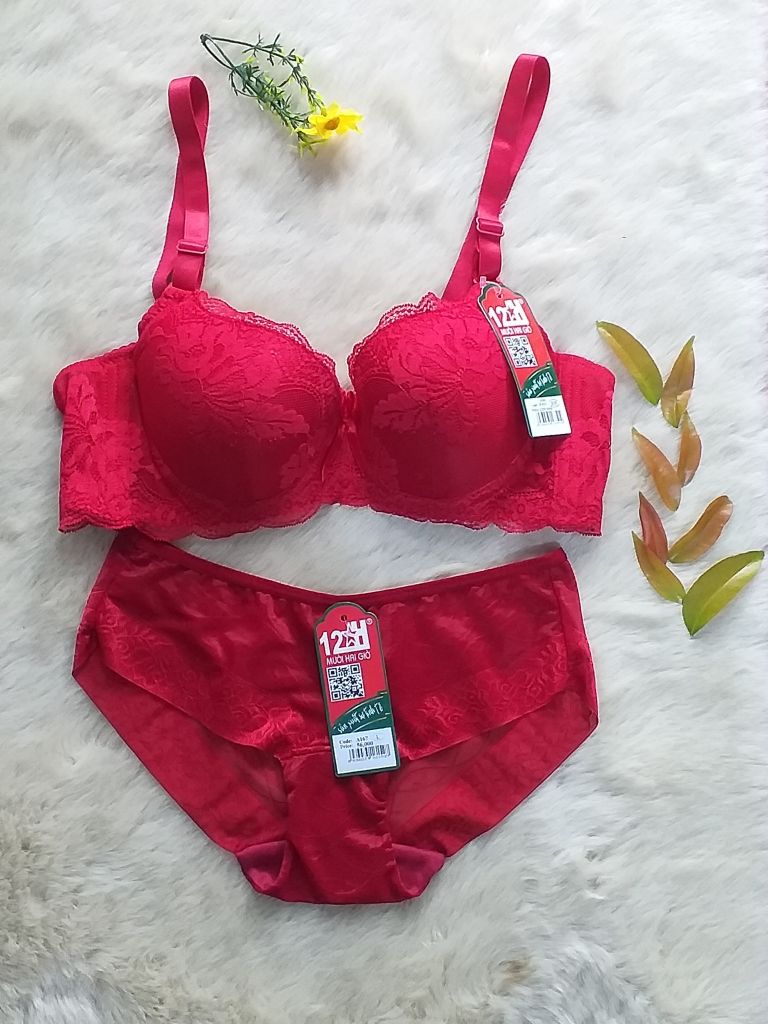 Đồ Lót Nữ Sản Xuất Tại Việt Nam, Áo Ngực Ren Mút Mỏng Cao Cấp E411-33- Thương Hiệu Đồ Lót 12h