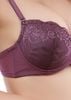 Đồ Lót Nữ 12H  Tphcm, Áo Lót Có Gọng Cao Cấp 12h E035-97 -Thương Hiệu 12h