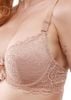 Áo Ngực Hot Nhất Hiện Nay, Áo Ngực Gọng Dẻo, Mút Mỏng Nâng Ngực E145- 72- Thương Hiệu 12h