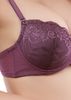Đồ Nội Y, Nội Y Đẹp, Do Lot Nu, Áo Lót Có Gọng Cao Cấp 12h E035-75 -Thương Hiệu 12h