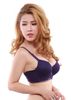 Mẫu Đồ Lót Nữ, Áo Ngực Mút Dày Ren E045-80-Thương Hiệu 12h